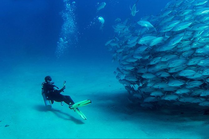 Antalya Scuba Diving W/Lunch & Transfers - What the $54.13 price really covers