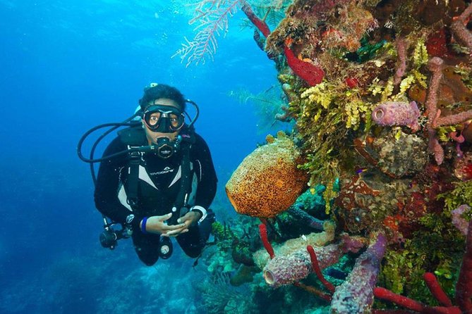 Antalya Scuba Diving W/Lunch & Transfers - Who will enjoy this Antalya boat day?