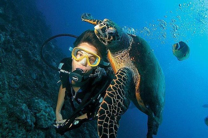 Antalya Scuba Diving W/Lunch & Transfers - Useful preparation for the morning