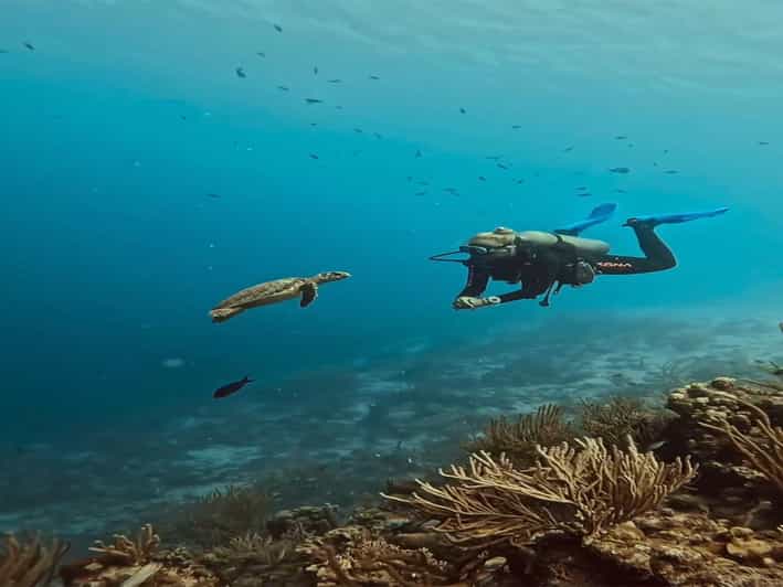 Antalya, Side and Alanya: Scuba Diving with Lunch & 2 Dives - Key points to know before booking