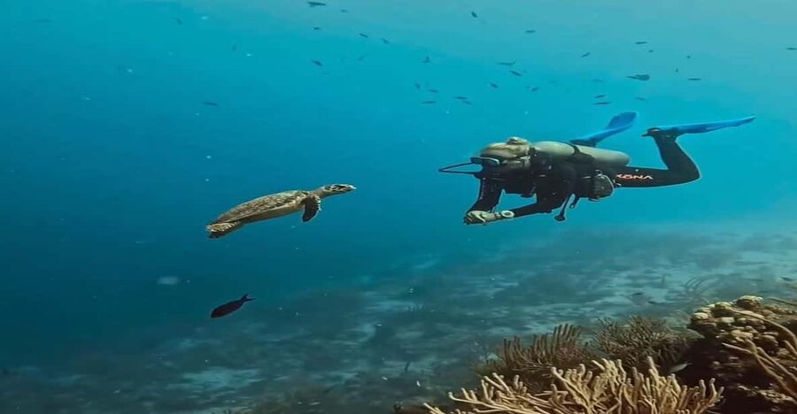 Antalya, Side and Alanya: Scuba Diving with Lunch & 2 Dives - What the $44 price really covers