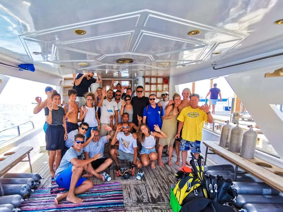 Aqaba: 2 Guided Dives Boat Trip with Gear and Buffet Lunch - Leaving Sharks Bay Divers for Ayla Marina