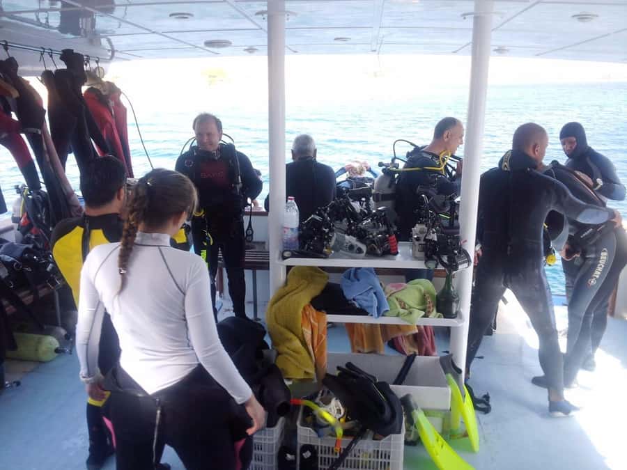Aqaba: 2 Guided Dives Boat Trip with Gear and Buffet Lunch - The one-hour pause between sessions