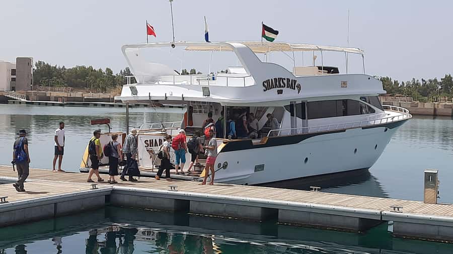 Aqaba: 2 Guided Dives Boat Trip with Gear and Buffet Lunch - What the $161 price includes