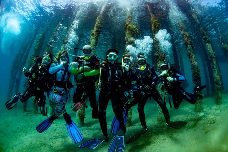 Aqaba: 2 Guided Dives Boat Trip with Gear and Buffet Lunch - First underwater session among Aqaba’s coral gardens