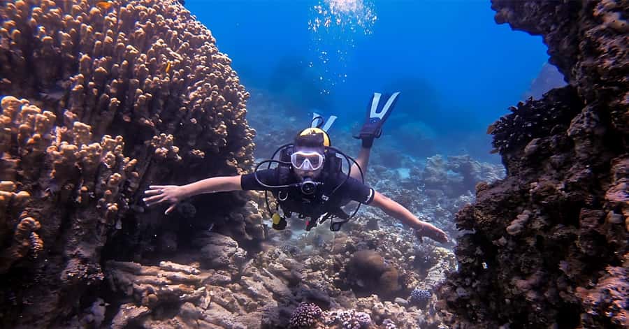 Aqaba Dive Adventure: Explore The Red Sea On A Tour - Key Points Before You Book