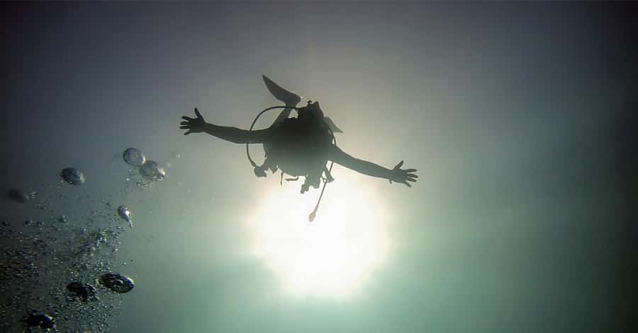 Aqaba Dive Adventure: Explore The Red Sea On A Tour - Starting at Baghdad Street 24