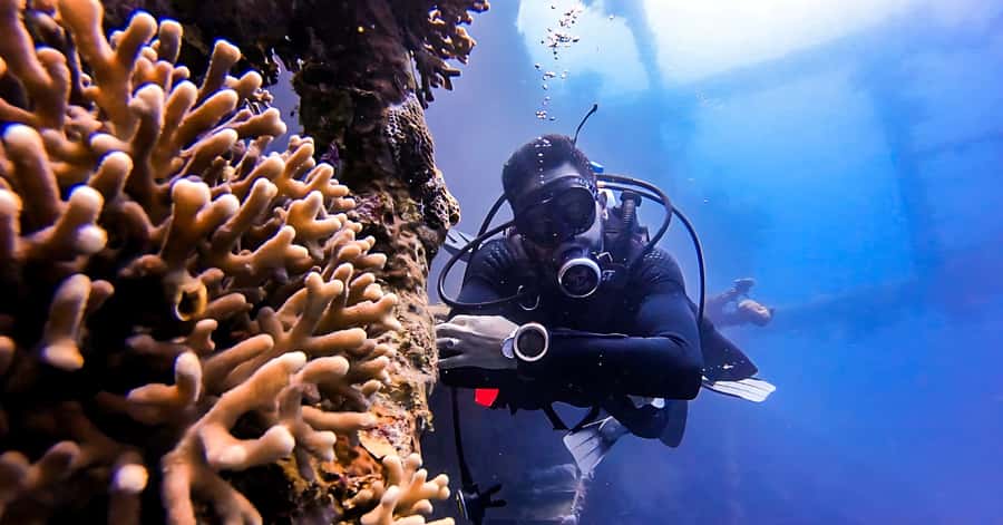 Aqaba Dive Adventure: Explore The Red Sea On A Tour - Forty-Five Minutes Among Coral and Fish