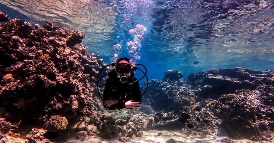 Aqaba Dive Adventure: Explore The Red Sea On A Tour - Why $51 Can Be Good Value