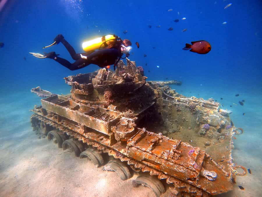 Aqaba: Private Red Sea Diving for Beginner or Experienced - What makes this Aqaba experience worth considering
