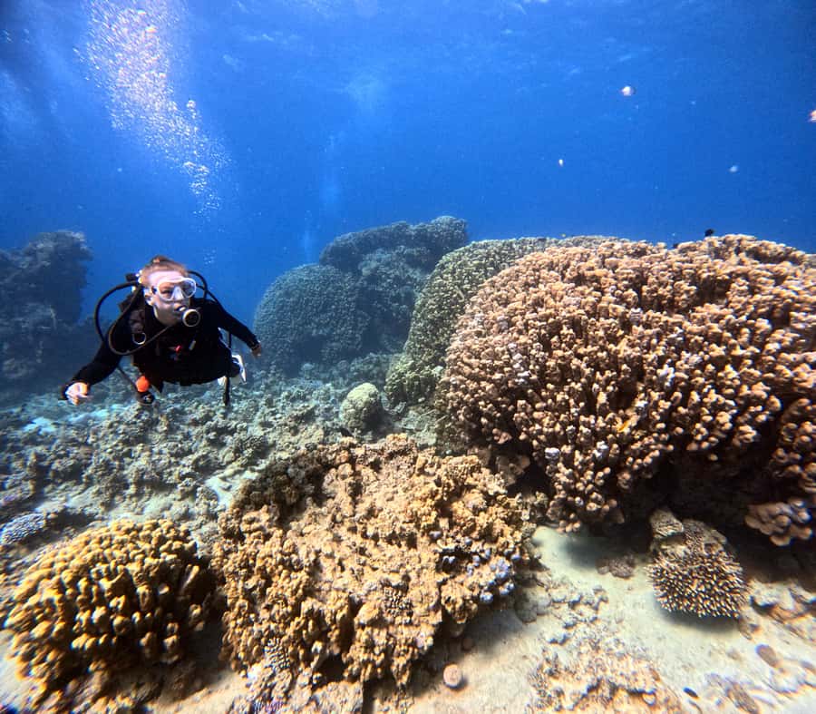 Aqaba: Private Red Sea Diving for Beginner or Experienced - Why the private format matters