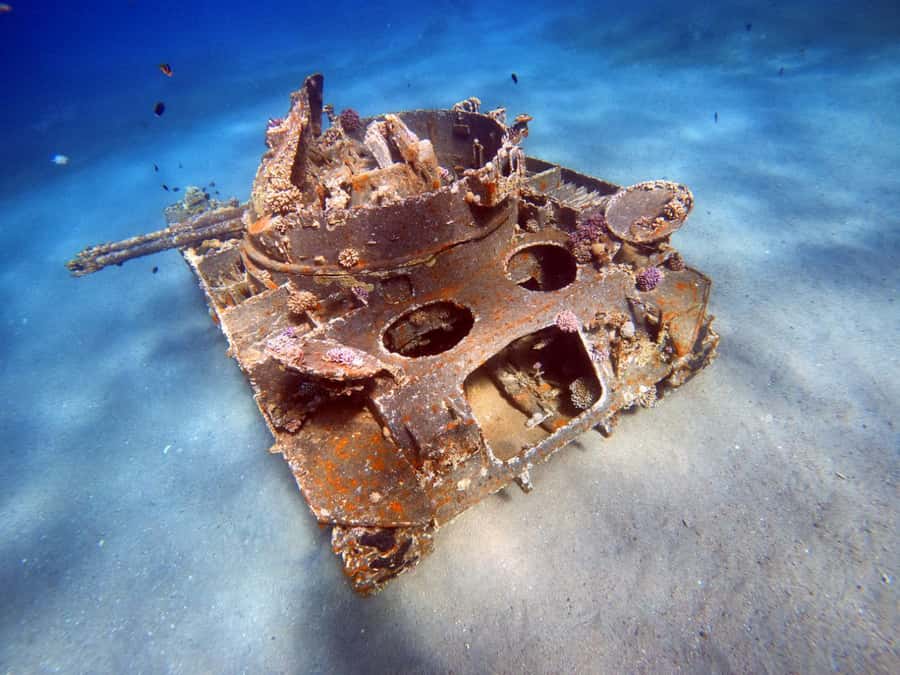 Aqaba: Private Red Sea Diving for Beginner or Experienced - What your two hours actually include