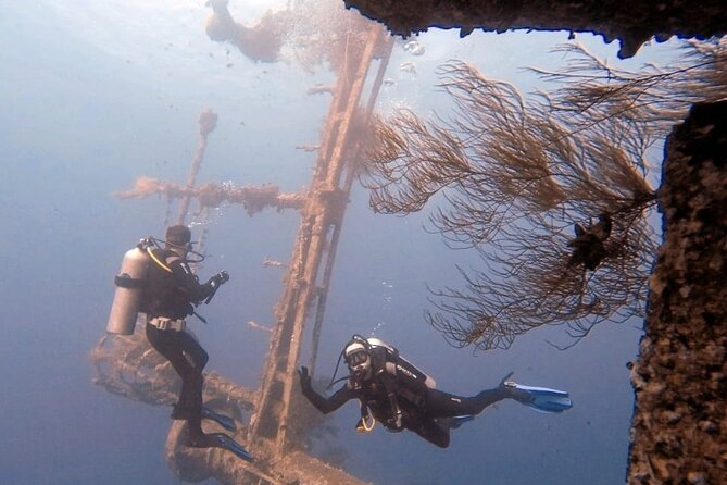 Aqaba Private Scuba Diving Activity with Pick Up - Why Aqaba works so well for a first scuba outing