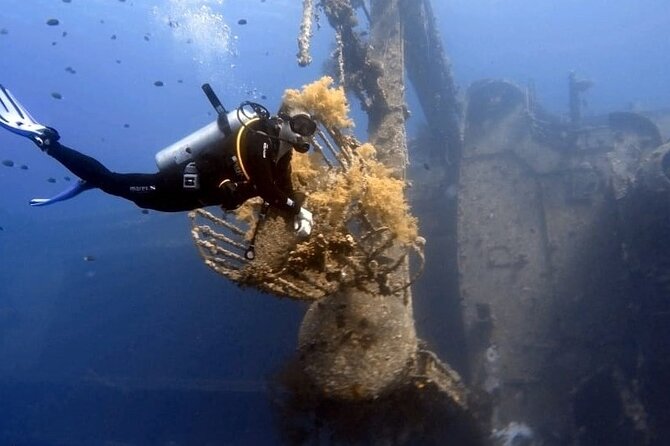 Aqaba Private Scuba Diving Activity with Pick Up - Coral gardens from Japanese Gardens to Seven Sisters