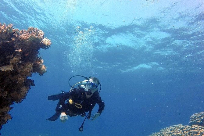Aqaba Private Scuba Diving Activity with Pick Up - What $56.58 buys you