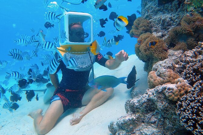 Aqua Safari Introductory Helmet Dive (Underwater Walk) - Key points at a glance
