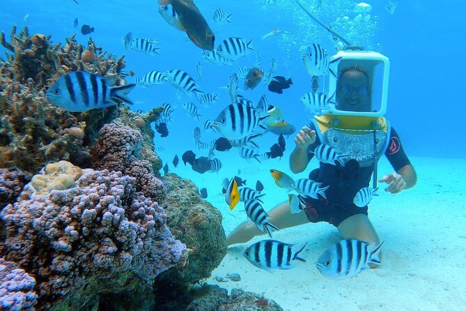 Aqua Safari Introductory Helmet Dive (Underwater Walk) - From hotel dock to coral garden