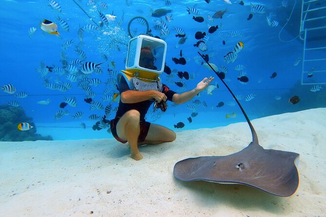 Aqua Safari Introductory Helmet Dive (Underwater Walk) - Thirty minutes among fish and coral