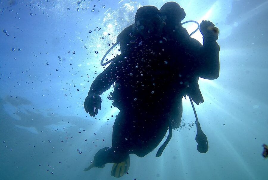 Arrábida - Sesimbra: Eco-Friendly Beginner's Scuba Diving - Exploring the Professor Luiz Saldanha Marine Park