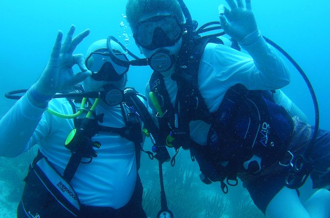 Aruba 1-Tank guided Dive for certified divers with own equipment - Is $79 a fair price?