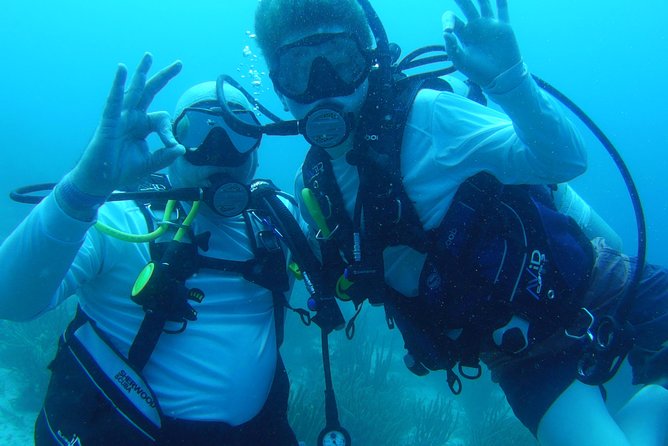 Aruba 1-Tank guided Dive for certified divers with own equipment - Timing matters more than it first appears