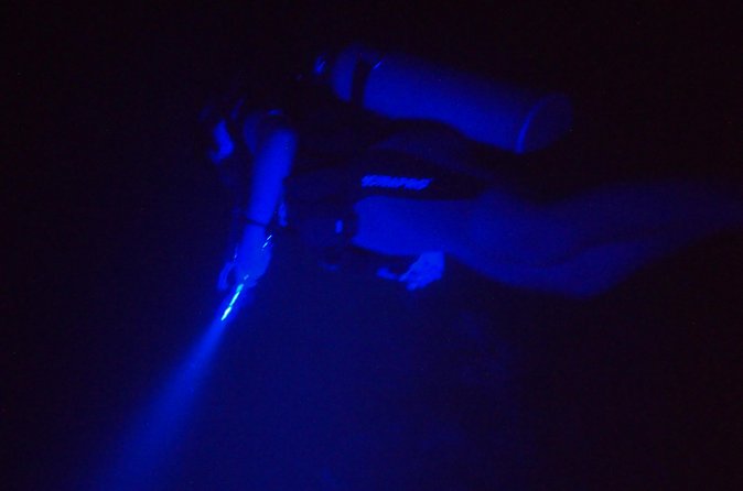 Aruba 1-Tank guided UV Night Dive for certified divers with rental equipment - Who will enjoy this most?