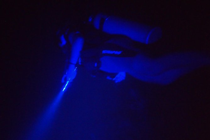 Aruba 1-Tank guided UV Night Dive for certified divers with rental equipment - Smart planning for your evening