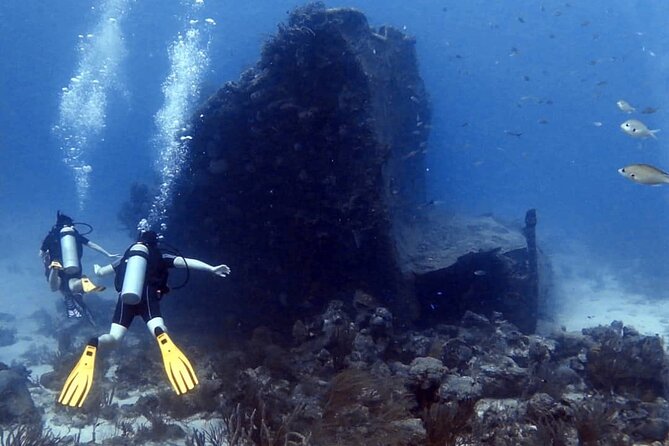 Aruba 2-Tank Dive Excursion for Certified Divers - Meeting the boat at Bucutiweg 20