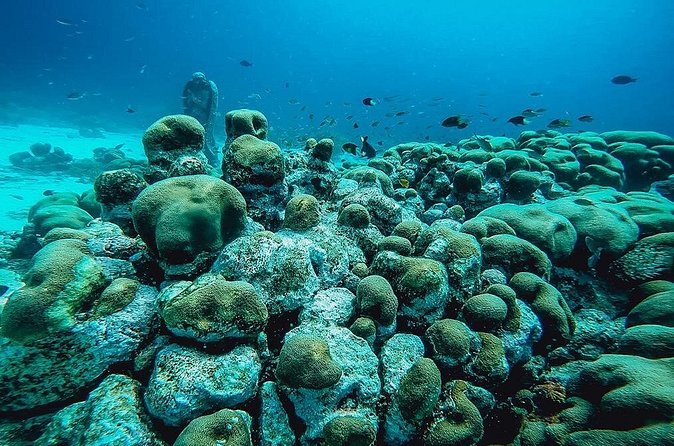 Aruba 2-Tank Dive Excursion for Certified Divers - Boat comfort and onboard extras