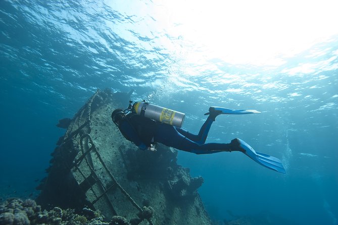 Aruba 2-Tank Dive Excursion for Certified Divers - Coral reefs, wrecks, and what you may actually see