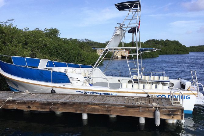 Aruba 2-Tank guided Dive for certified divers / own equipment - Key points to know before booking
