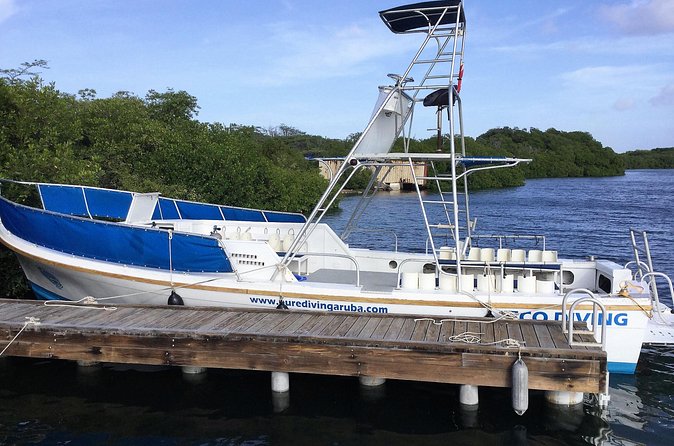 Aruba 2-Tank guided Dive for certified divers / own equipment - What the marine life may offer