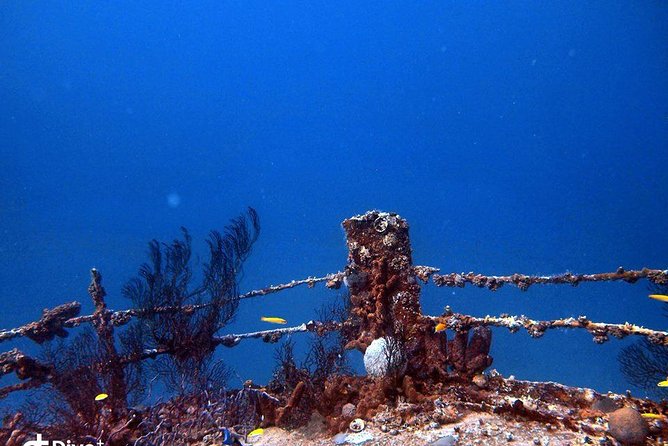 Aruba 2-Tank Guided Dive for Certified Divers / rental equipment - Why this Aruba outing works well for certified divers