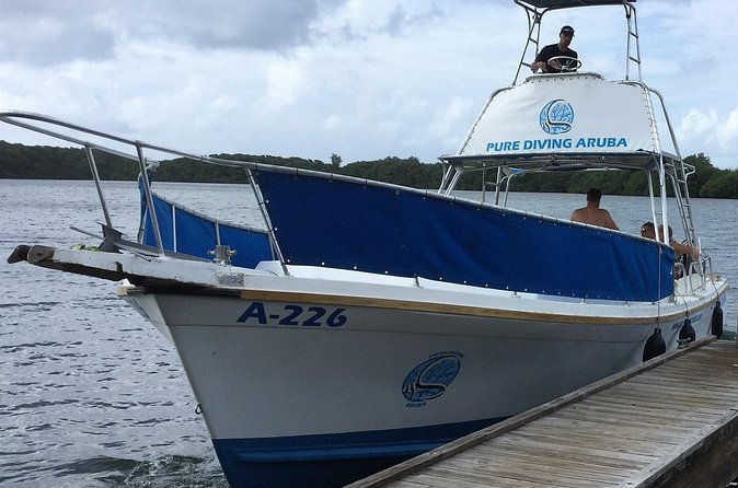 Aruba 2-Tank Guided Dive for Certified Divers / rental equipment - Is $144 a fair price?