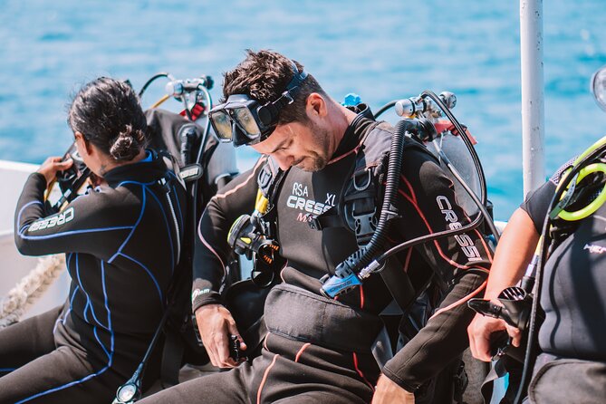 Aruba Guided Night Dive Adventure: Shallow Reefs or Shipwrecks - Key points at a glance