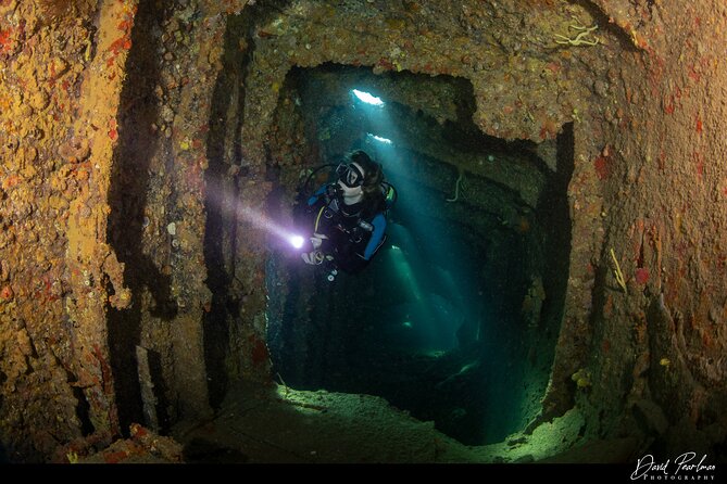 Aruba Guided Night Dive Adventure: Shallow Reefs or Shipwrecks - Choosing between a shallow reef and a shipwreck
