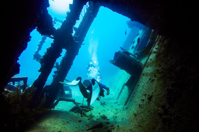 Aruba Guided Night Dive Adventure: Shallow Reefs or Shipwrecks - Health, timing, and safety rules