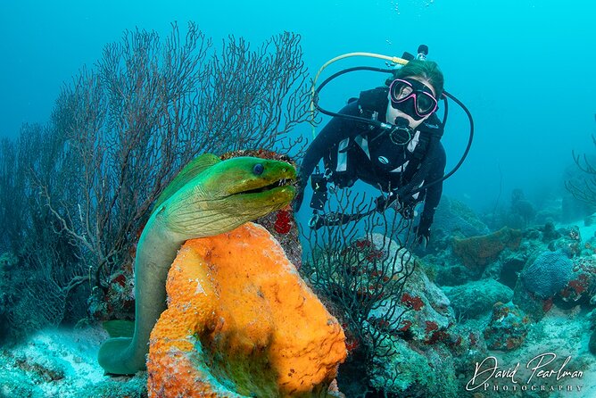 Aruba One or Two Tank Scuba Dive - Key points at a glance