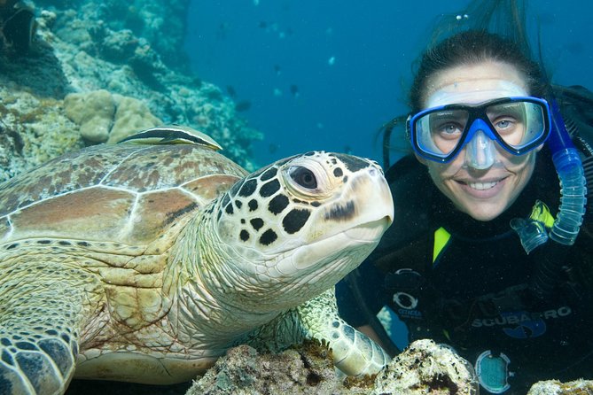 Aruba One or Two Tank Scuba Dive - Meeting Aruba’s fish, reefs, and wrecks