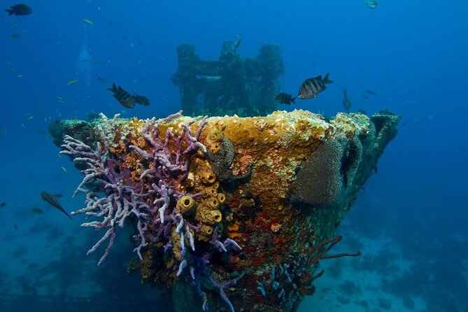 Aruba One or Two Tank Scuba Dive - How the guides shape the day