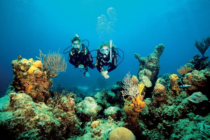 Aruba One or Two Tank Scuba Dive - Is $30.74 good value?