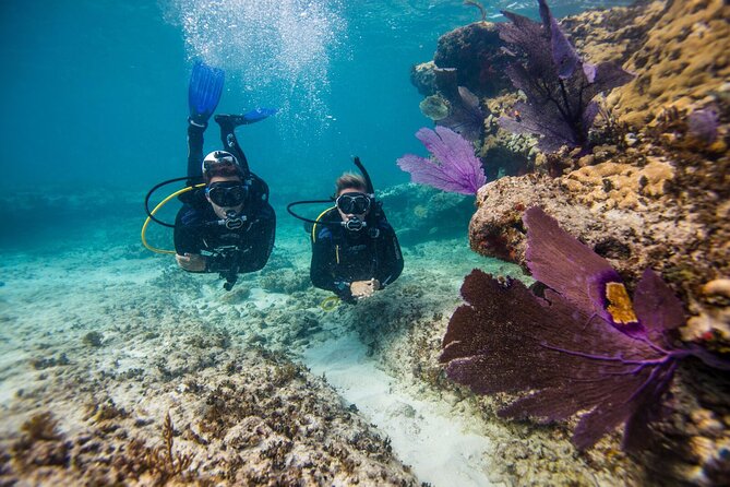 Aruba One or Two Tank Scuba Dive - Meeting the Red Sail crew at Piet’s Pier Bar
