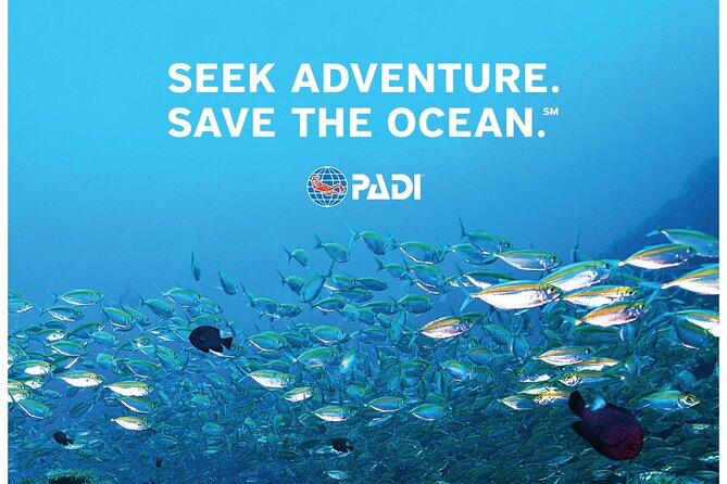 Aruba PADI Scuba Diving Program Non Certified Divers - Learning the equipment before entering deeper water