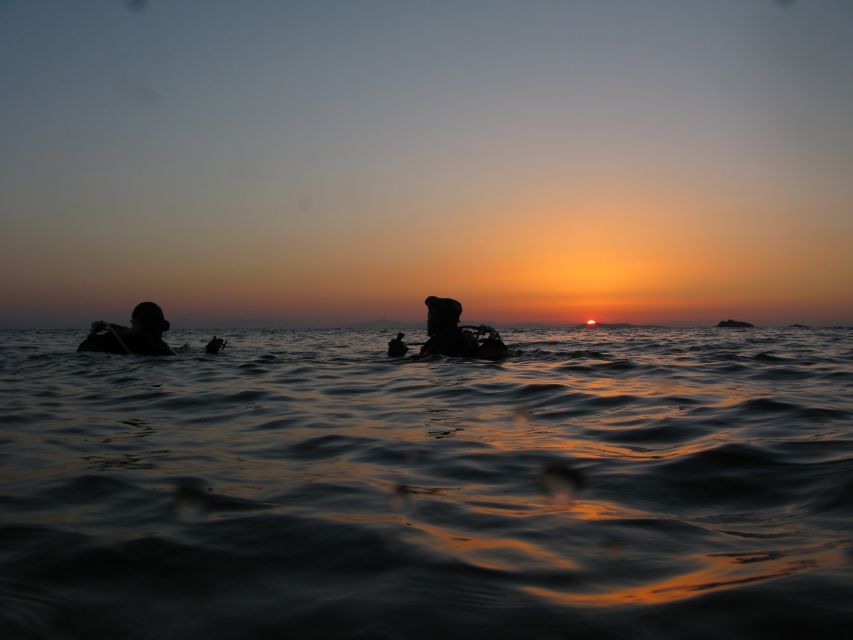 Athens: Adventure Dives in Nea Makri for Certified Divers - Should you book it?