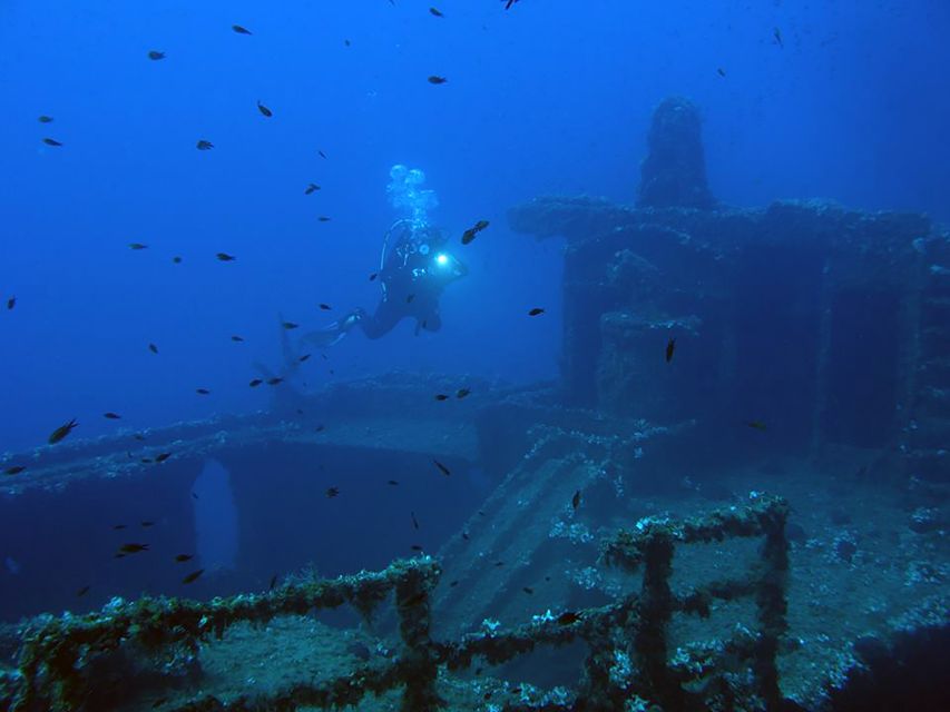 Athens: Adventure Dives in Nea Makri for Certified Divers - Choosing between shore and boat sessions