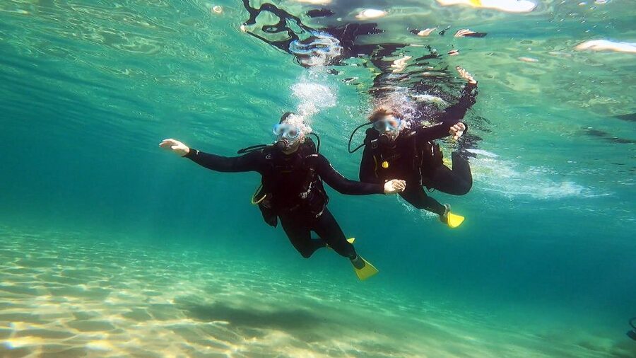 Athens East Coast: Discover Scuba Diving in Nea Makri - Starting at Frinis 20 in Nea Makri