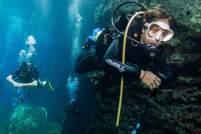 Athens Scuba Diving Experience for Certified Divers with Pickup - Timing the session around flights and cruises