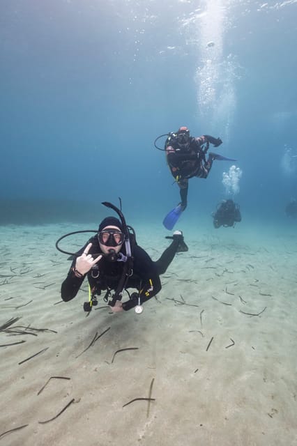 Athens: Single or Double Scuba diving for certified divers - Photos and video after the session