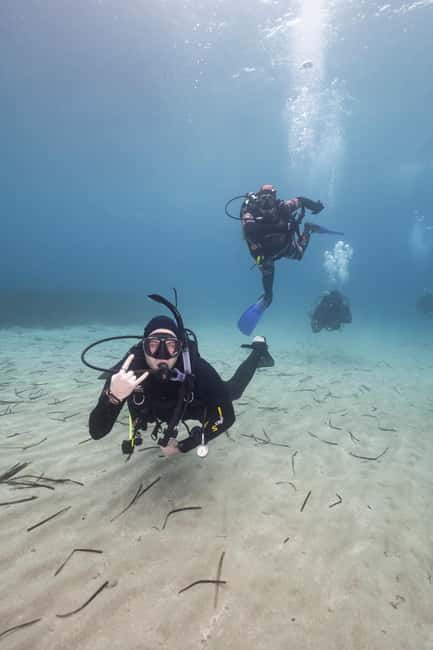 Athens: Single or Double Scuba diving for certified divers - Meeting the team at Nautilus Dive Center Athens