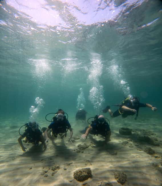 Athens: Try Scuba Diving - What to bring and how to plan your time